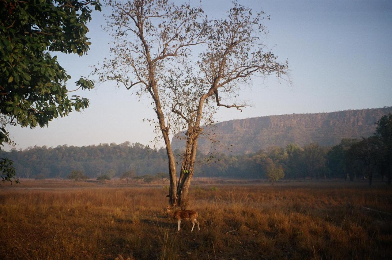 Bandhavgarh Jungle Lodge Tāla Exteriér fotografie