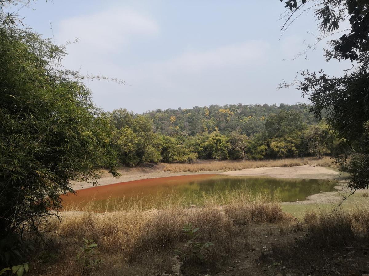 Bandhavgarh Jungle Lodge Tāla Exteriér fotografie