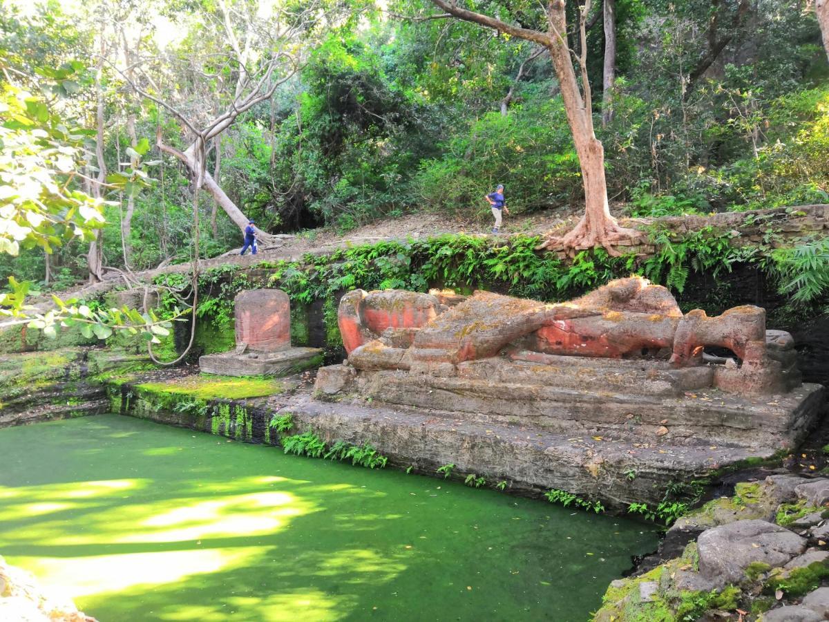 Bandhavgarh Jungle Lodge Tāla Exteriér fotografie